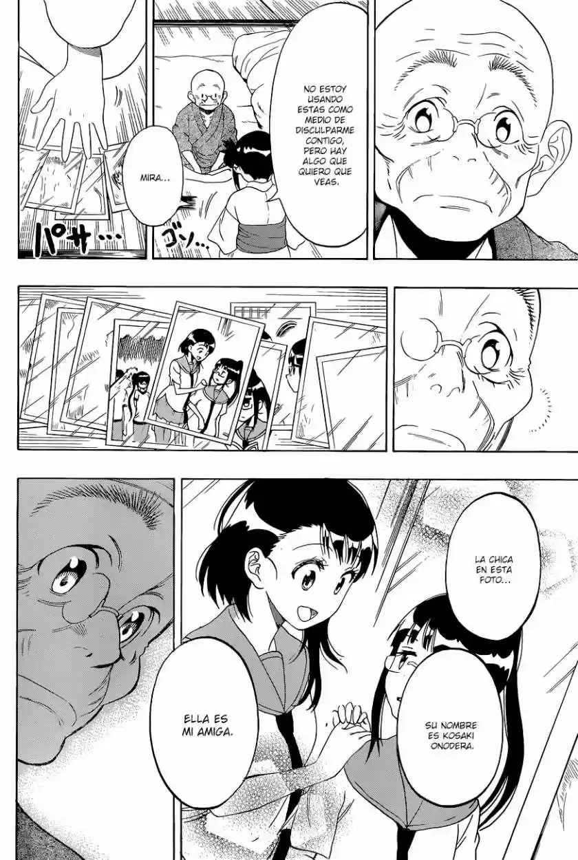 Nisekoi (2011) - Capítulo 115 - Página 9 - LectorTMOo
