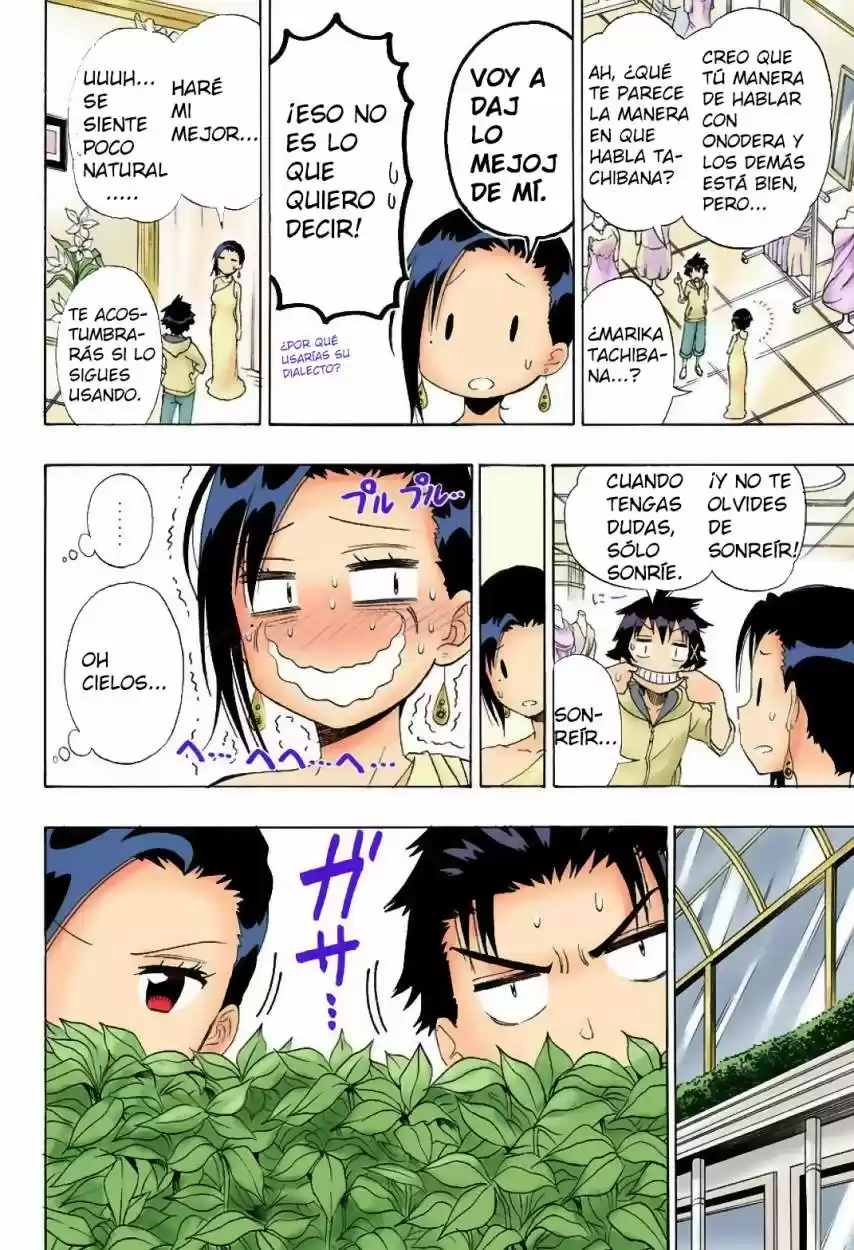 Nisekoi (2011) - Capítulo 124.5 - Página 14 - LectorTMOo