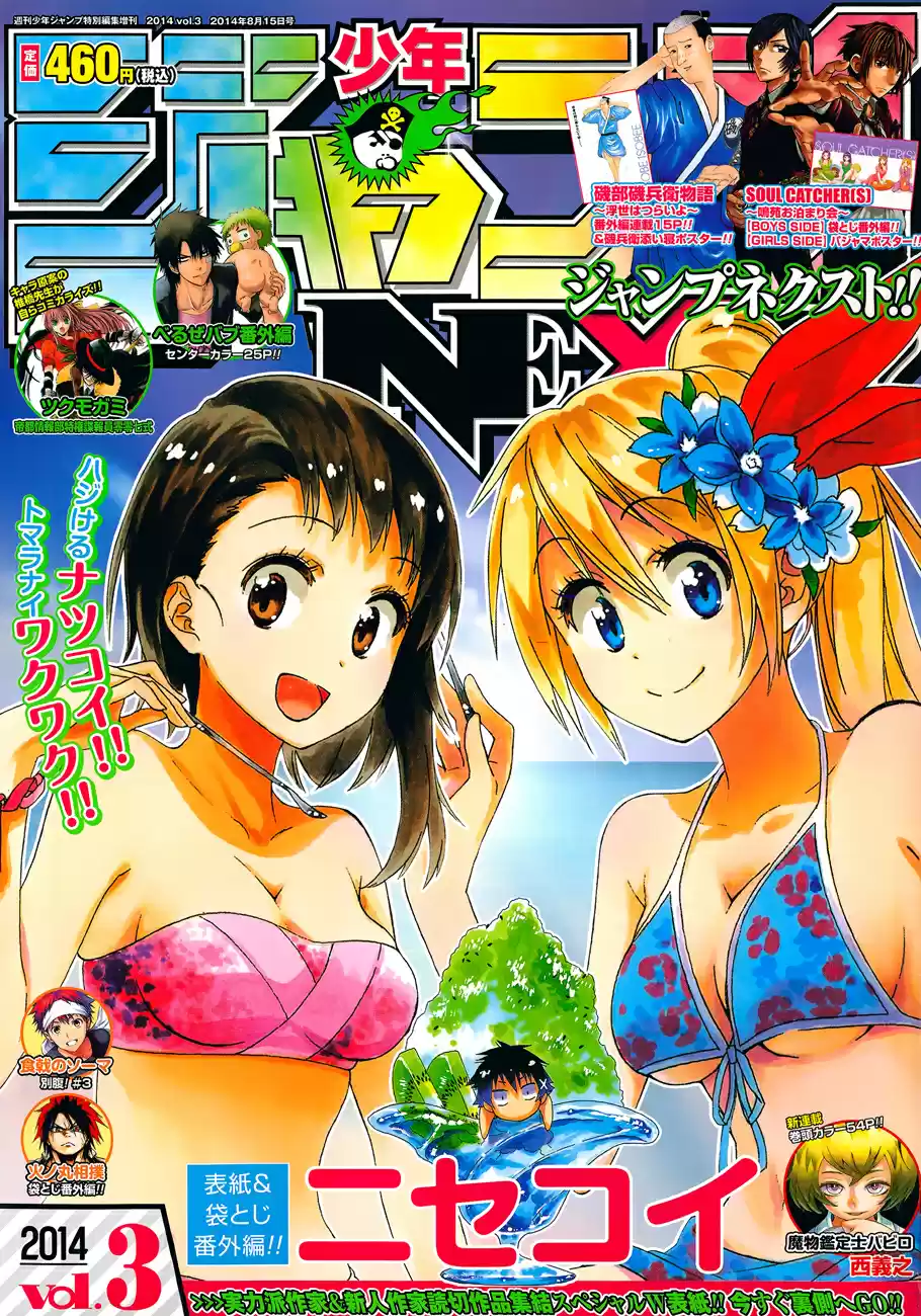 Nisekoi (2011) - Capítulo 133.1 - Página 3 - LectorTMOo