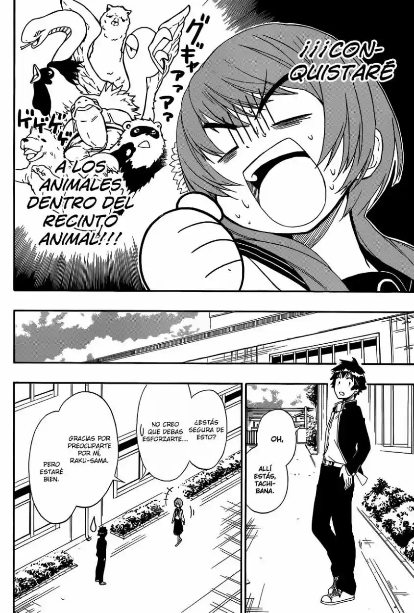Nisekoi (2011) - Capítulo 142 - Página 5 - LectorTMOo