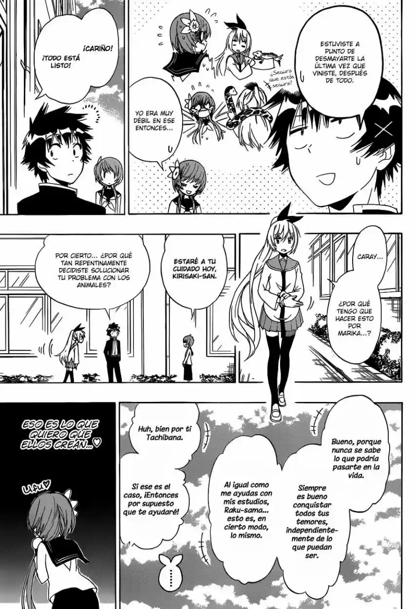 Nisekoi (2011) - Capítulo 142 - Página 6 - LectorTMOo