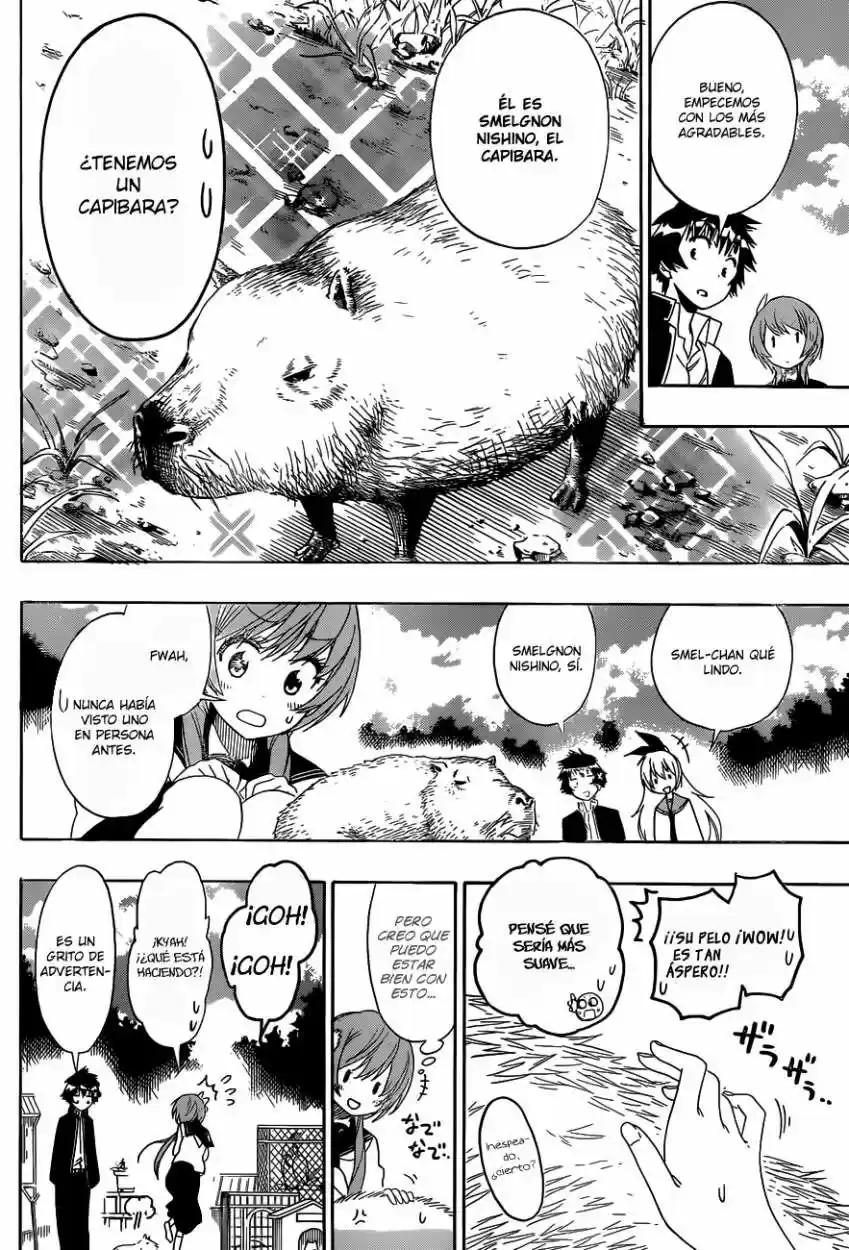 Nisekoi (2011) - Capítulo 142 - Página 9 - LectorTMOo