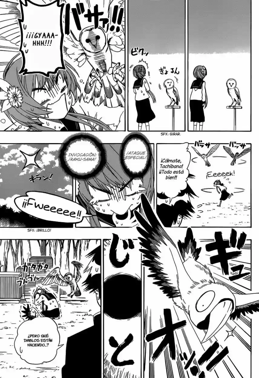 Nisekoi (2011) - Capítulo 142 - Página 12 - LectorTMOo