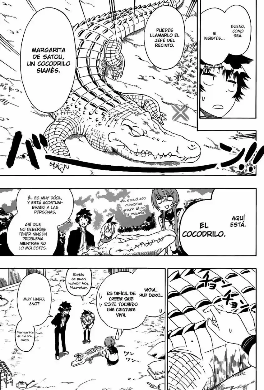 Nisekoi (2011) - Capítulo 142 - Página 14 - LectorTMOo