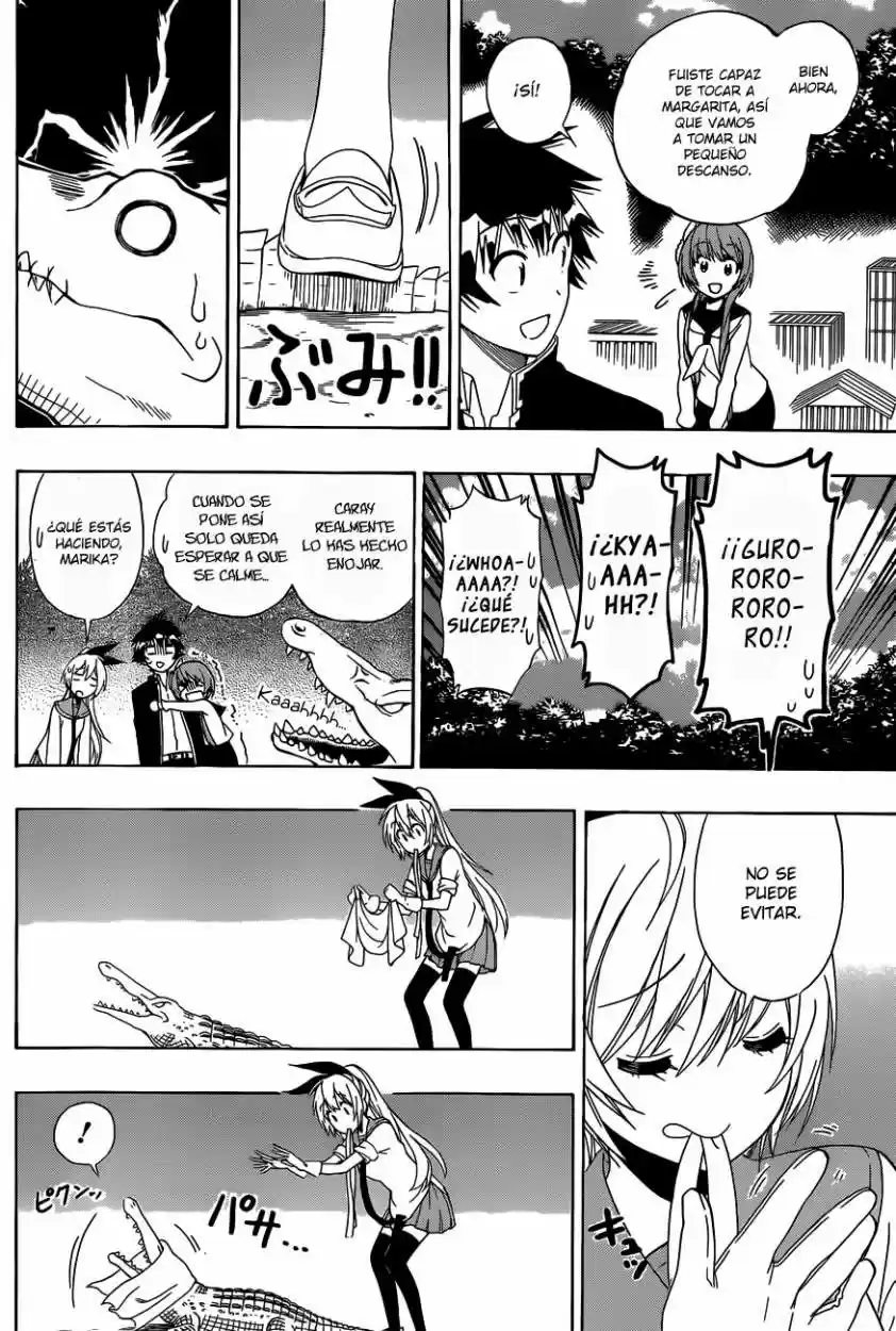 Nisekoi (2011) - Capítulo 142 - Página 15 - LectorTMOo