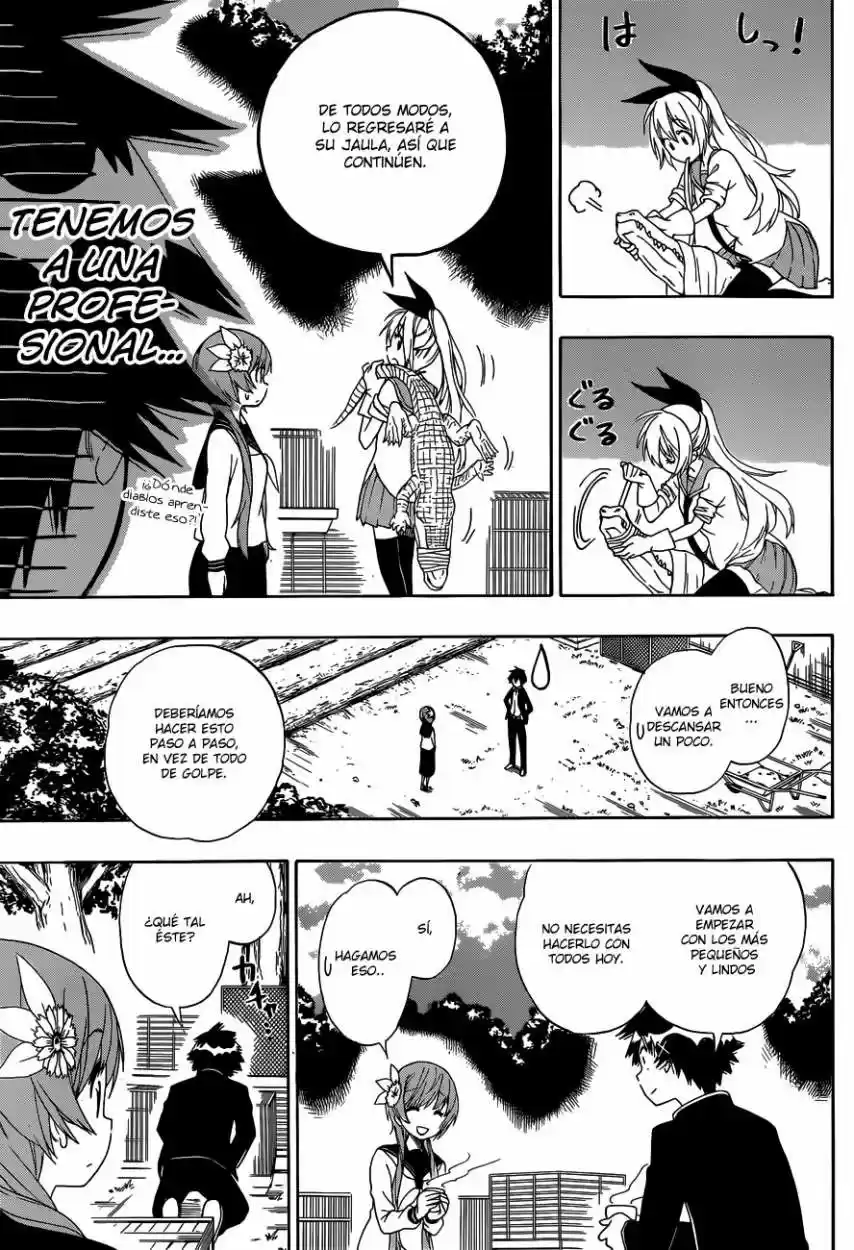 Nisekoi (2011) - Capítulo 142 - Página 16 - LectorTMOo