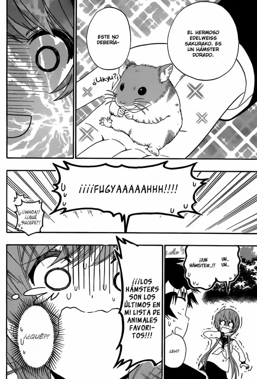 Nisekoi (2011) - Capítulo 142 - Página 17 - LectorTMOo