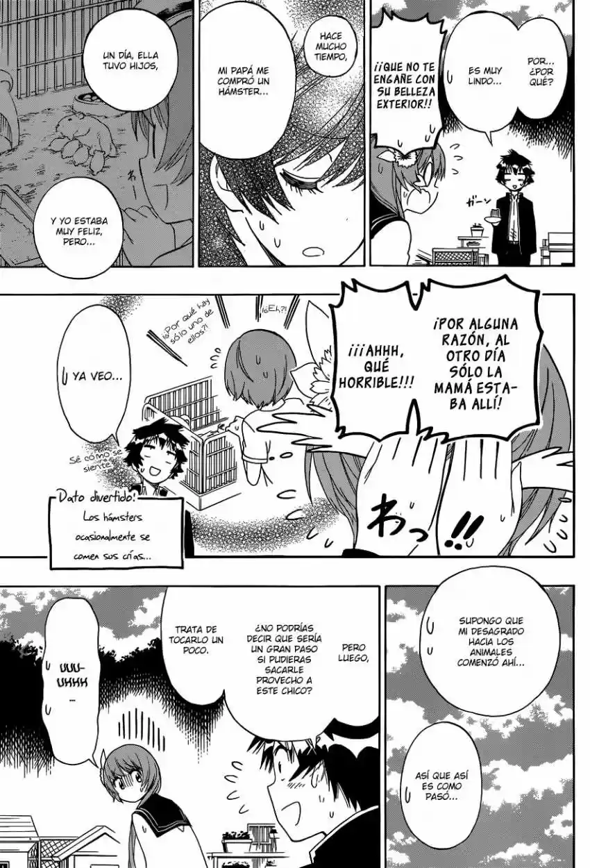Nisekoi (2011) - Capítulo 142 - Página 18 - LectorTMOo