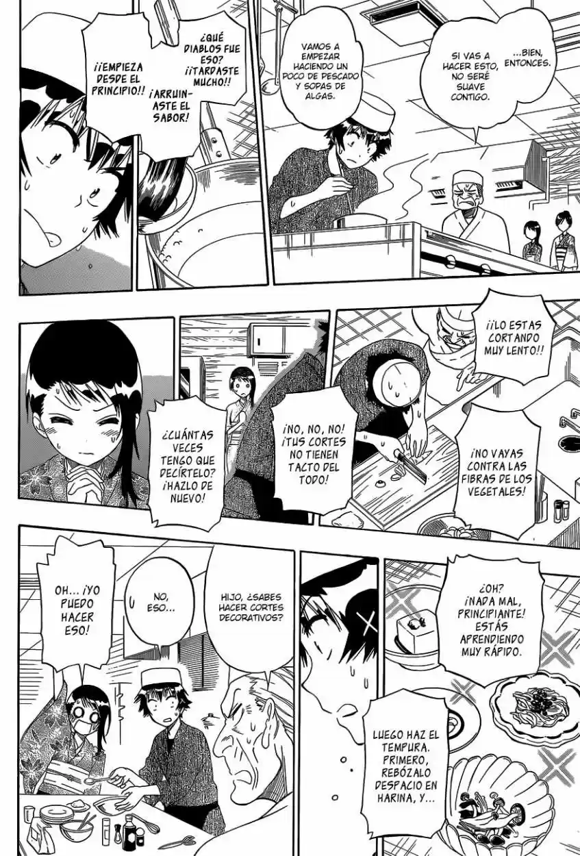 Nisekoi (2011) - Capítulo 143 - Página 17 - LectorTMOo