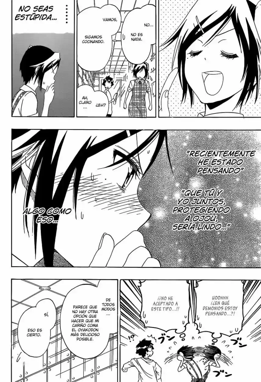 Nisekoi (2011) - Capítulo 149 - Página 19 - LectorTMOo
