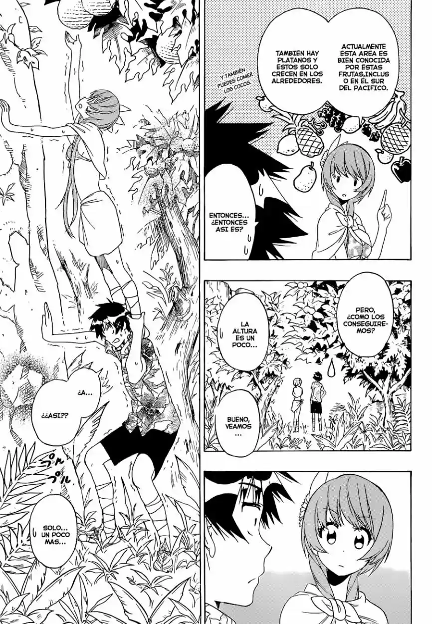 Nisekoi (2011) - Capítulo 170 - Página 15 - LectorTMOo
