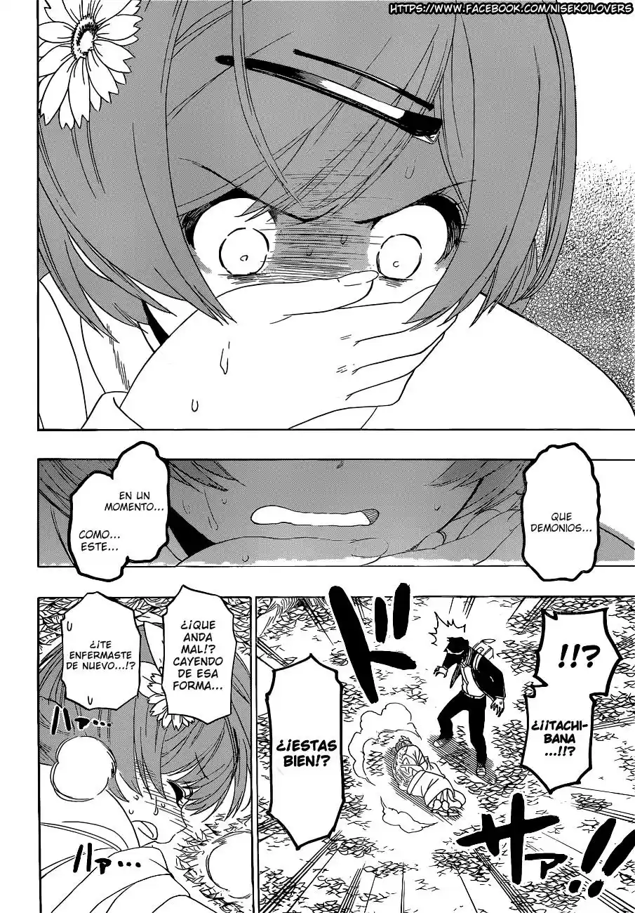 Nisekoi (2011) - Capítulo 181 - Página 6 - LectorTMOo