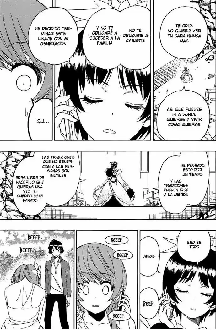 Nisekoi (2011) - Capítulo 194 - Página 17 - LectorTMOo