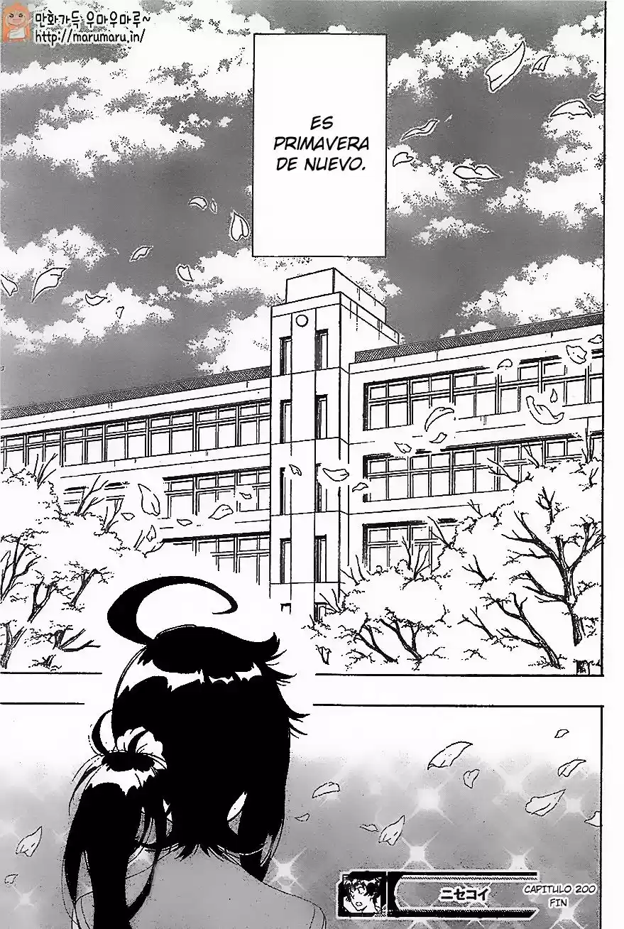 Nisekoi (2011) - Capítulo 200 - Página 19 - LectorTMOo