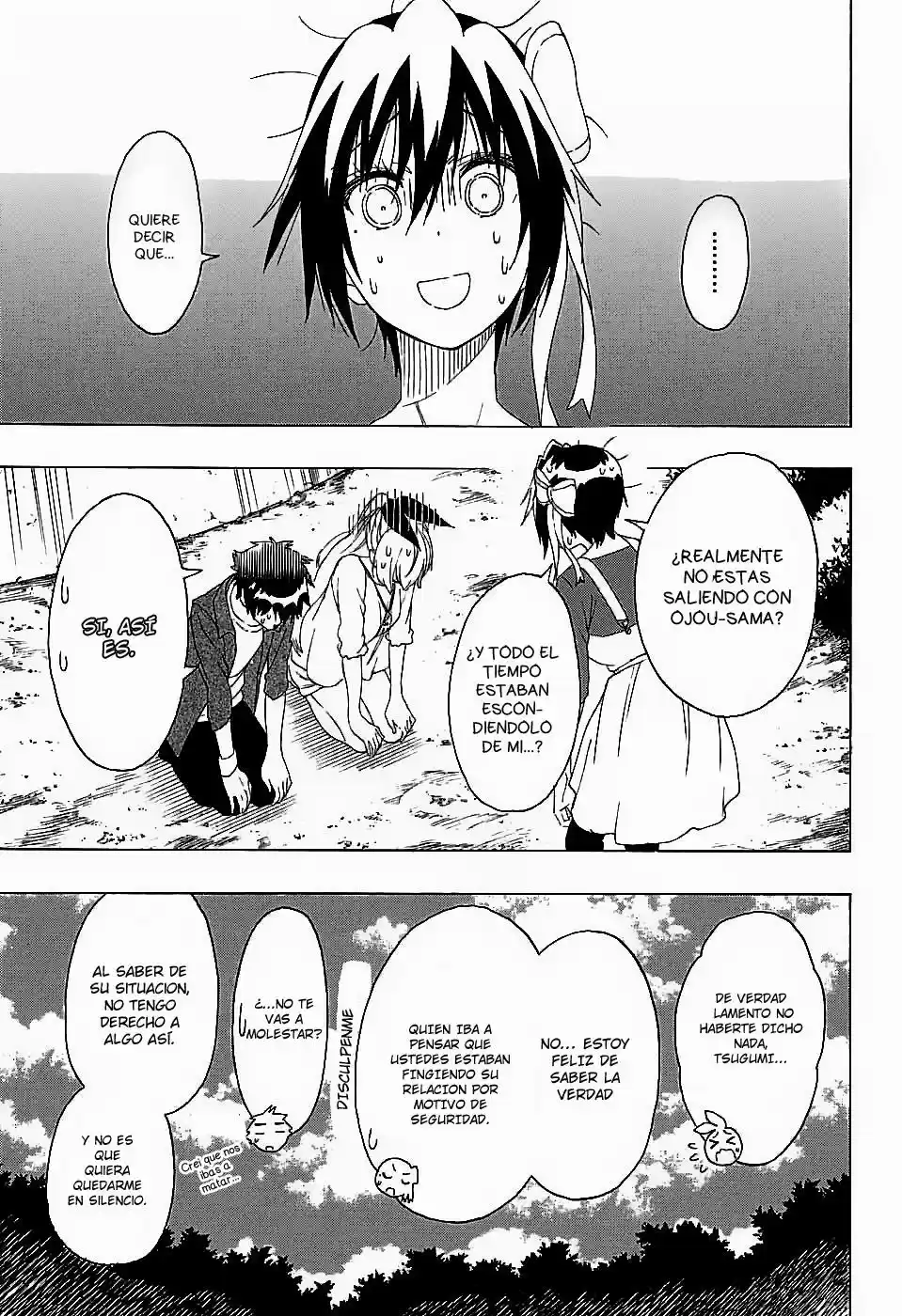 Nisekoi (2011) - Capítulo 204 - Página 14 - LectorTMOo