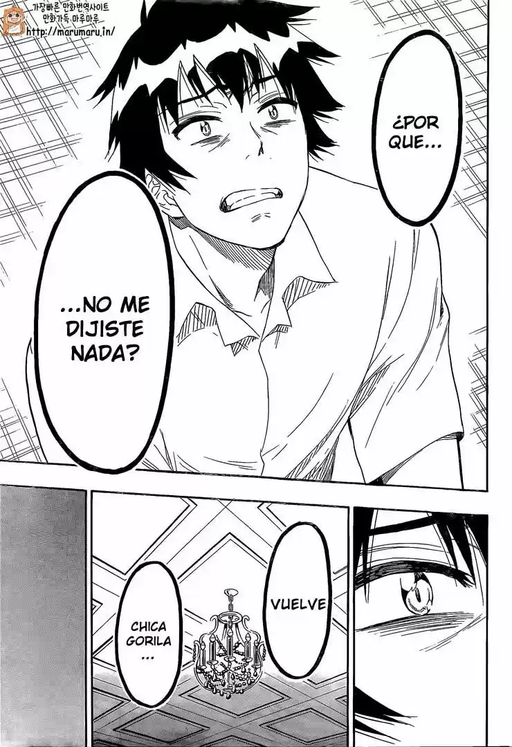 Nisekoi (2011) - Capítulo 213 - Página 18 - LectorTMOo