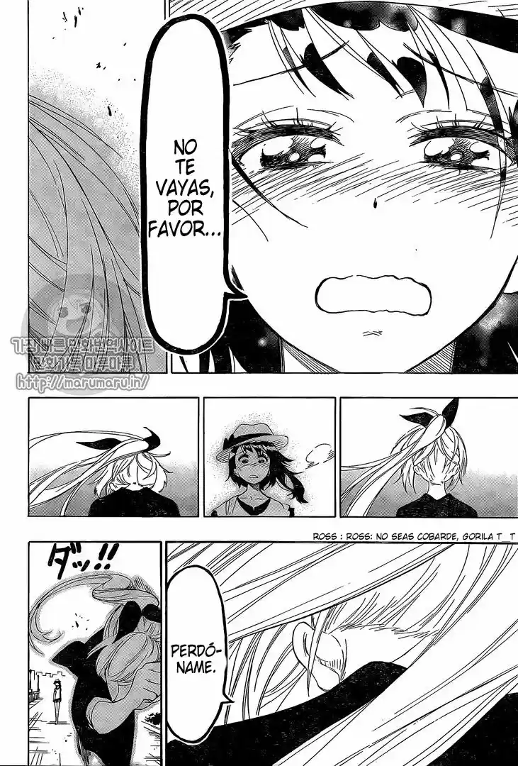 Nisekoi (2011) - Capítulo 215 - Página 17 - LectorTMOo