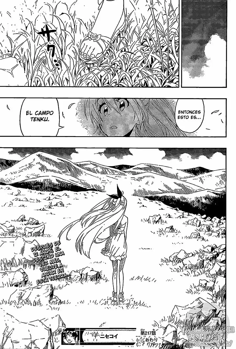 Nisekoi (2011) - Capítulo 217 - Página 19 - LectorTMOo