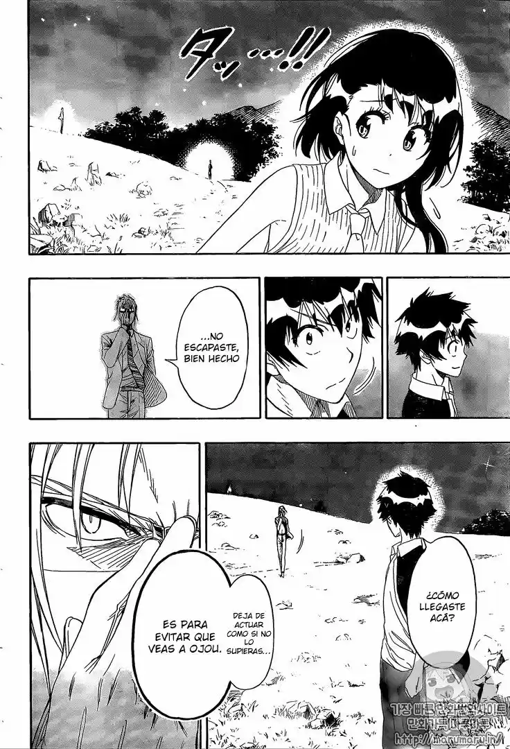 Nisekoi (2011) - Capítulo 218 - Página 17 - LectorTMOo