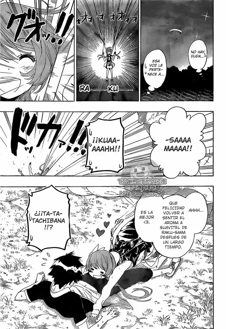 Nisekoi (2011) - Capítulo 219 - Página 12 - LectorTMOo