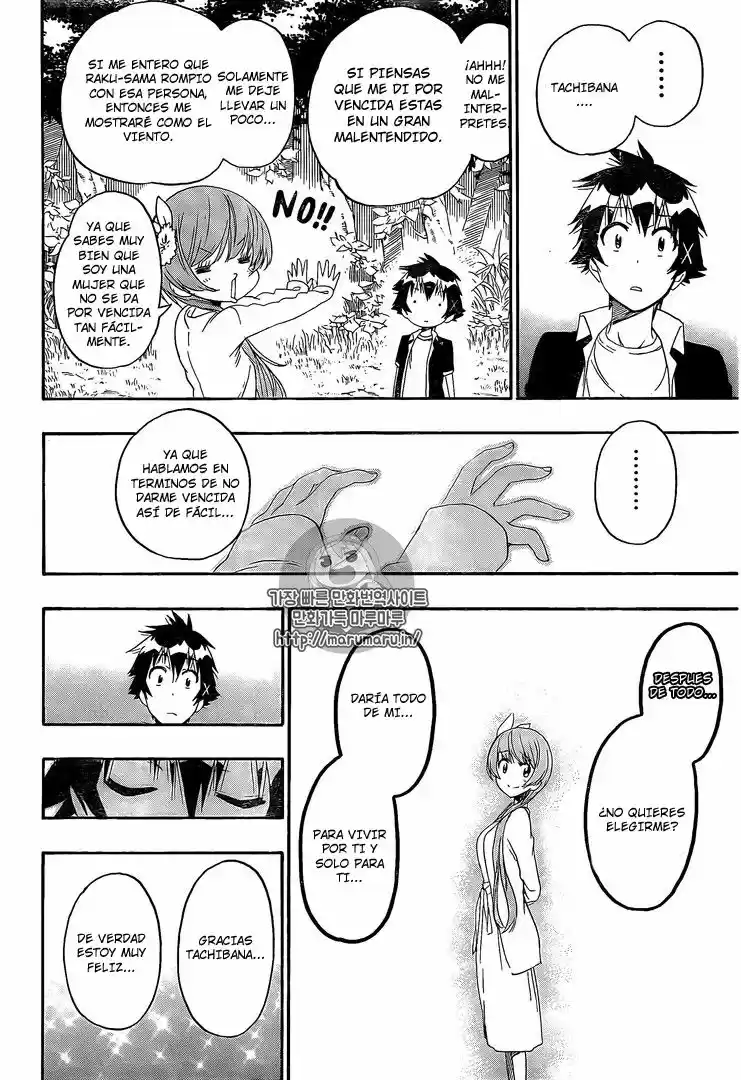 Nisekoi (2011) - Capítulo 219 - Página 17 - LectorTMOo