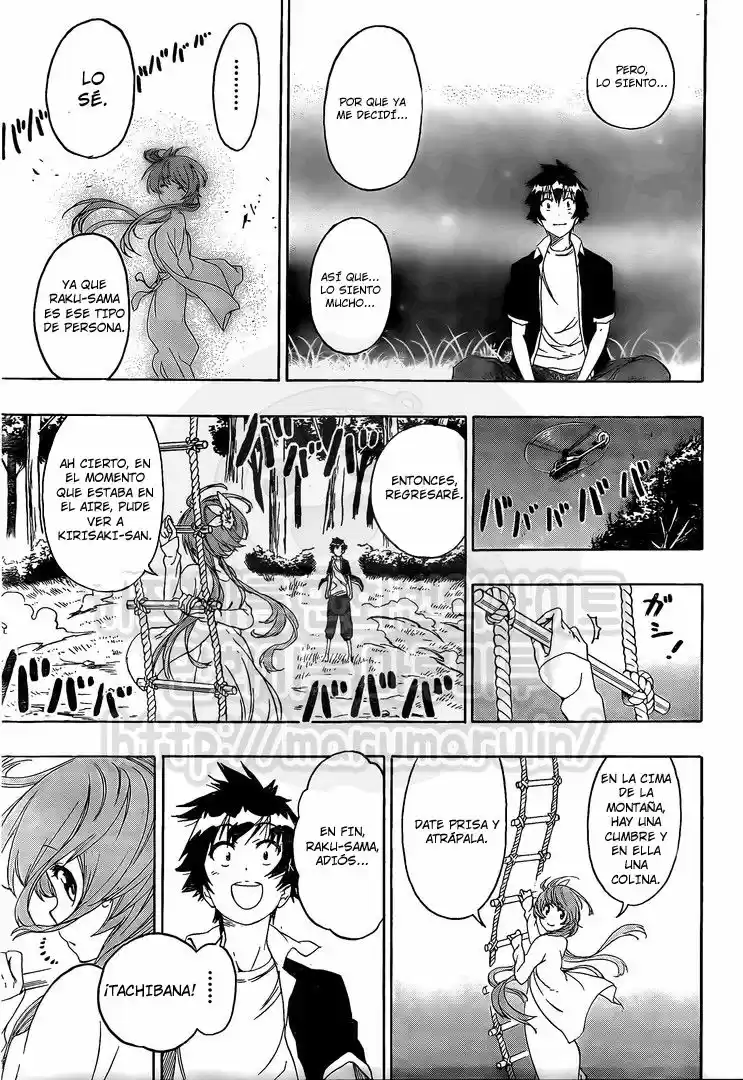 Nisekoi (2011) - Capítulo 219 - Página 18 - LectorTMOo