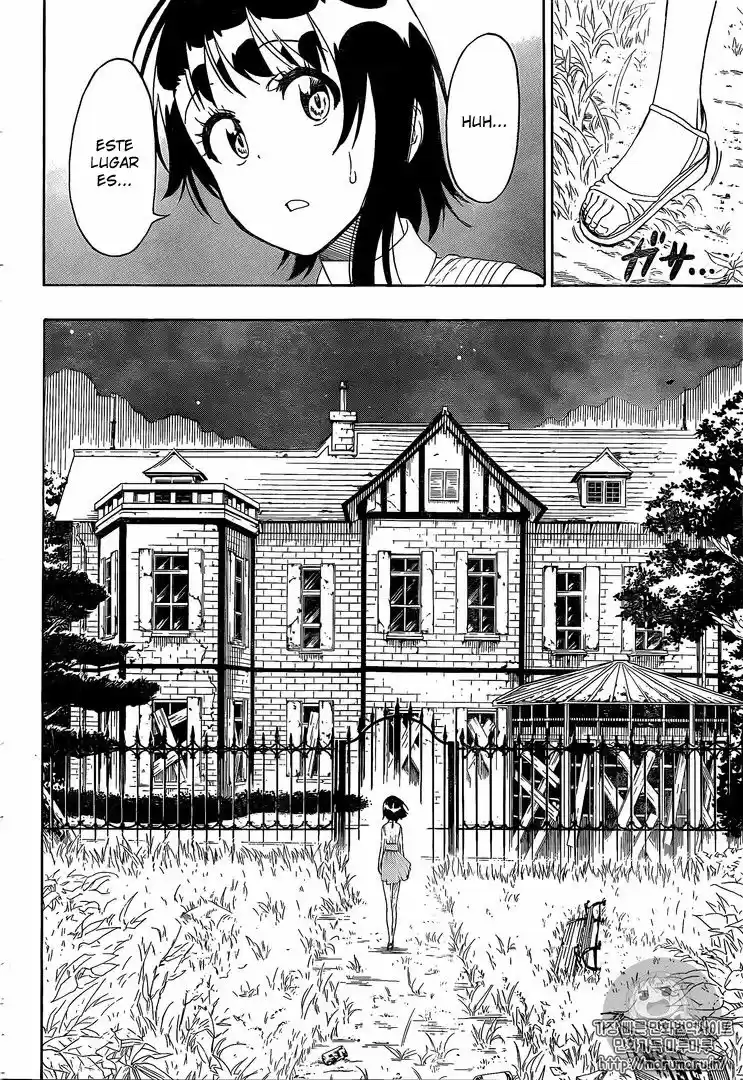 Nisekoi (2011) - Capítulo 220 - Página 5 - LectorTMOo