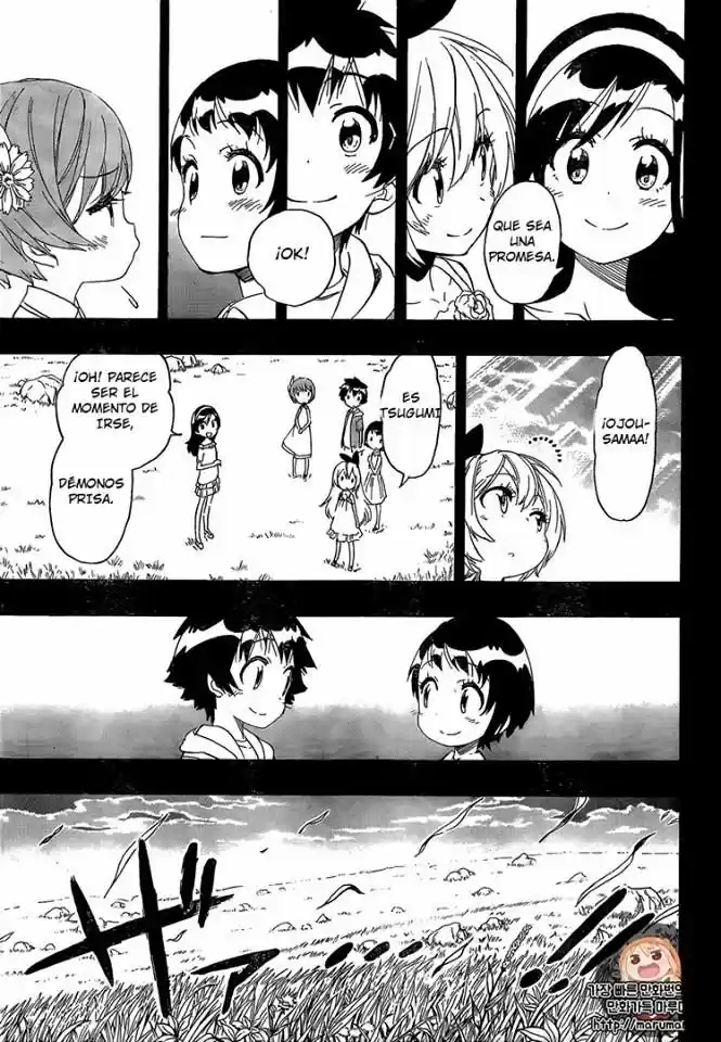 Nisekoi (2011) - Capítulo 221 - Página 17 - LectorTMOo
