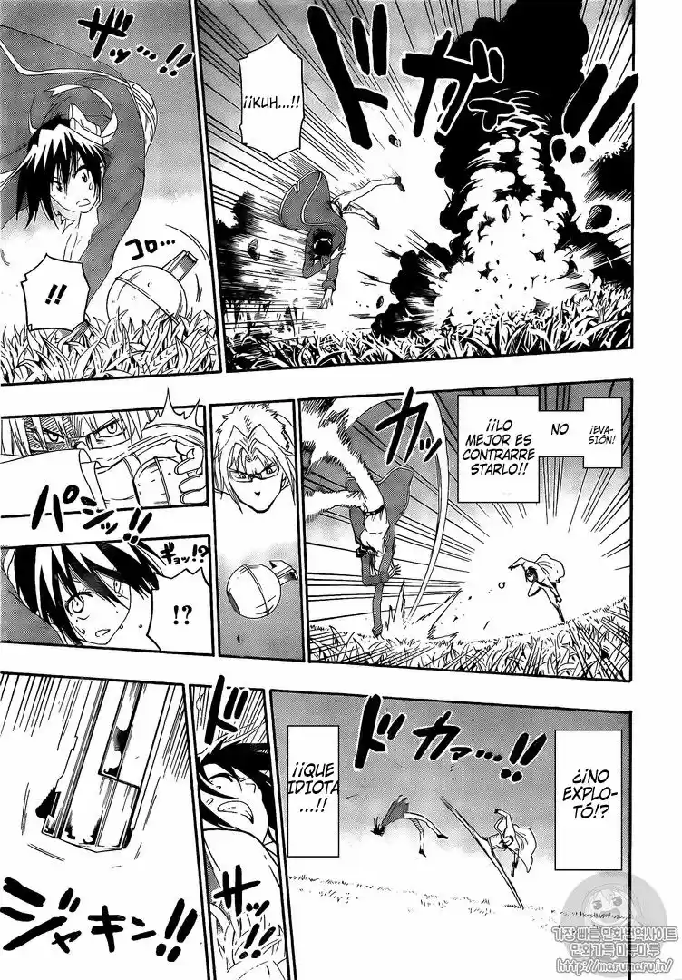 Nisekoi (2011) - Capítulo 222 - Página 18 - LectorTMOo