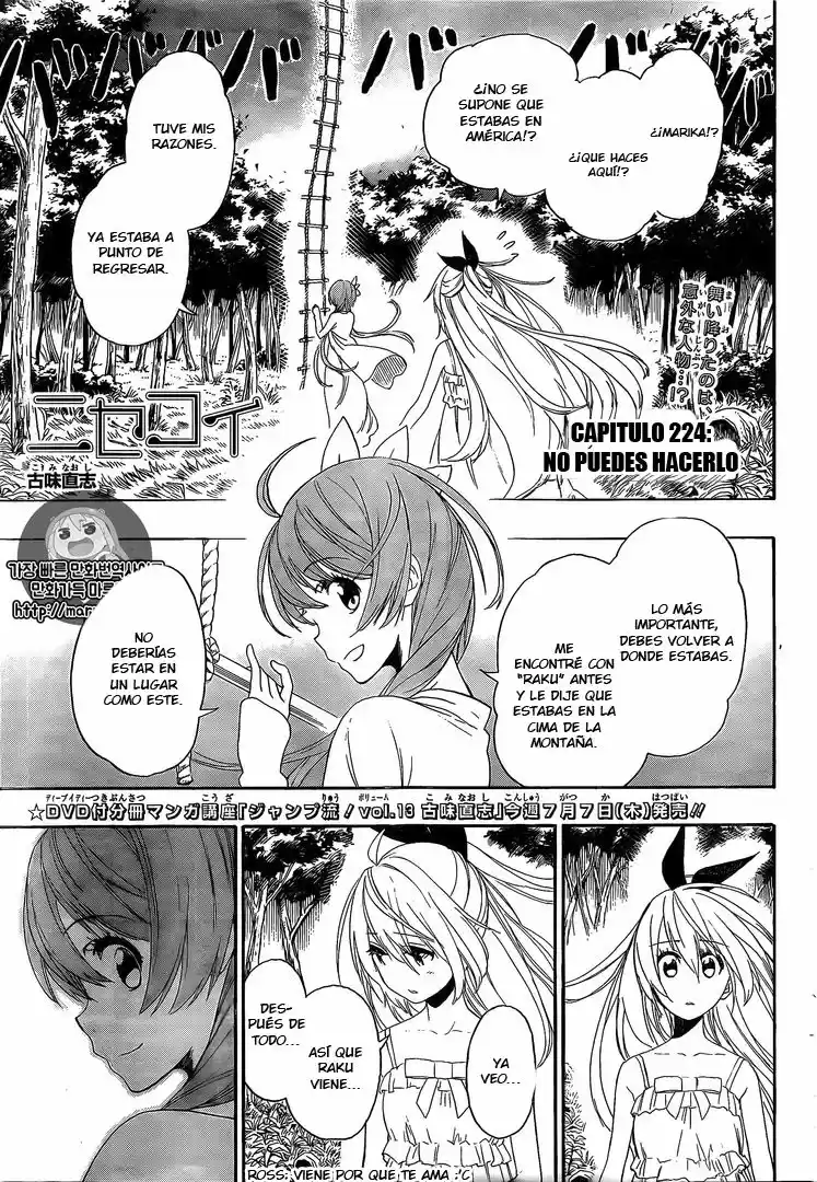 Nisekoi (2011) - Capítulo 224 - Página 2 - LectorTMOo