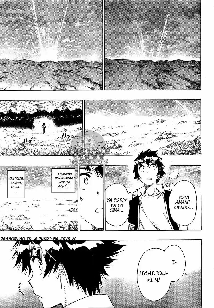 Nisekoi (2011) - Capítulo 224 - Página 18 - LectorTMOo