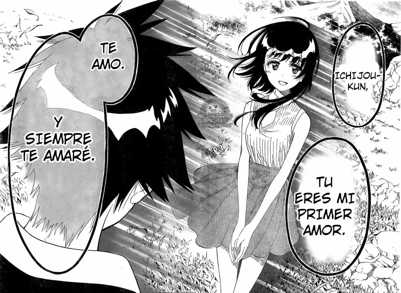 Nisekoi (2011) - Capítulo 225 - Página 11 - LectorTMOo