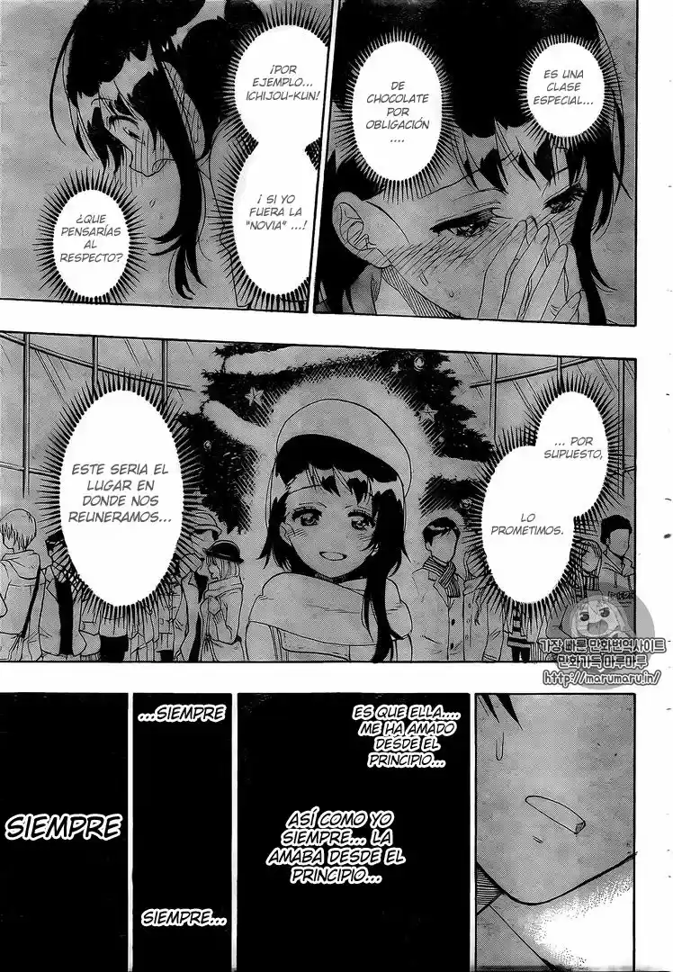 Nisekoi (2011) - Capítulo 225 - Página 15 - LectorTMOo