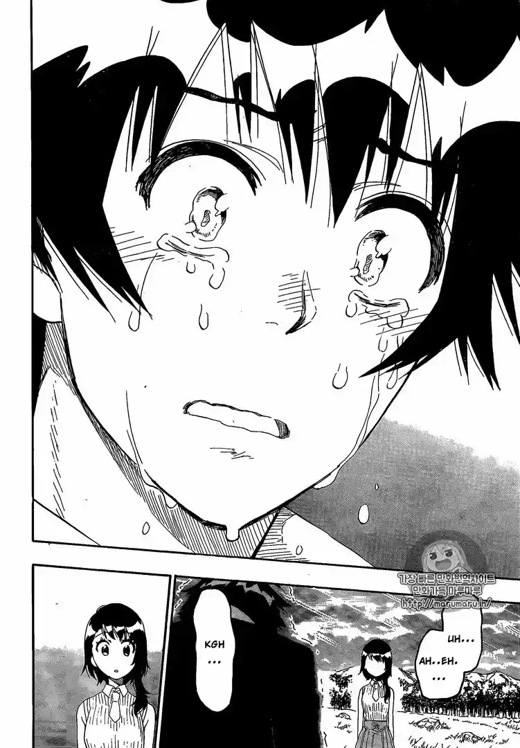 Nisekoi (2011) - Capítulo 225 - Página 16 - LectorTMOo