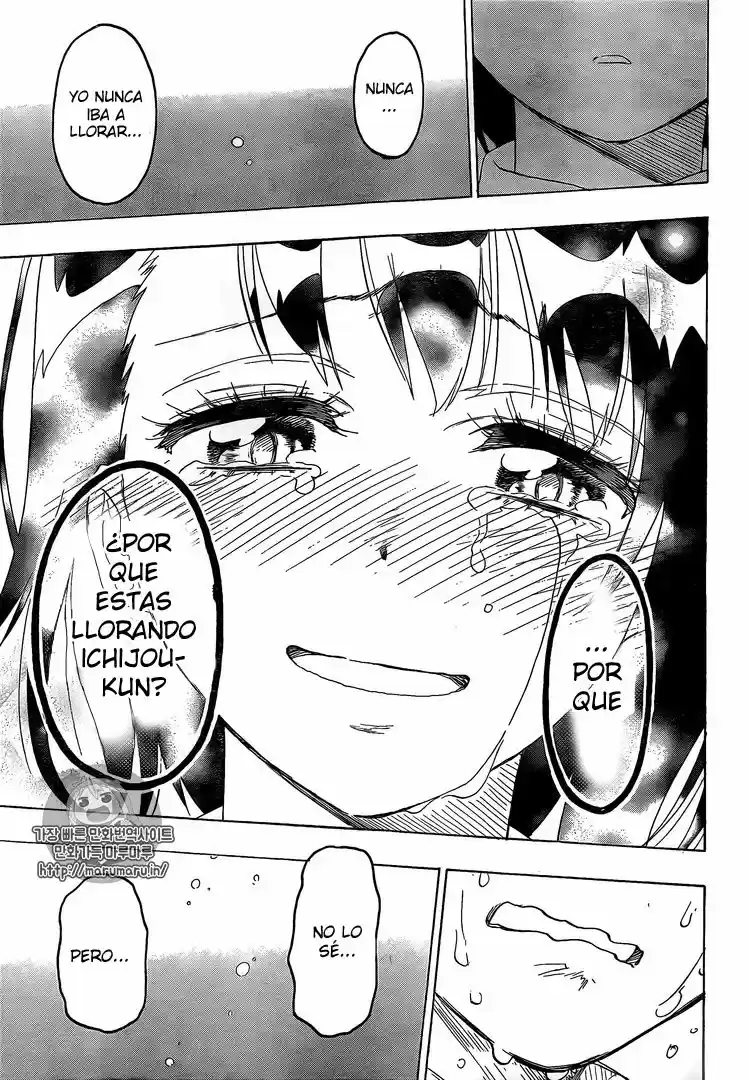 Nisekoi (2011) - Capítulo 225 - Página 17 - LectorTMOo