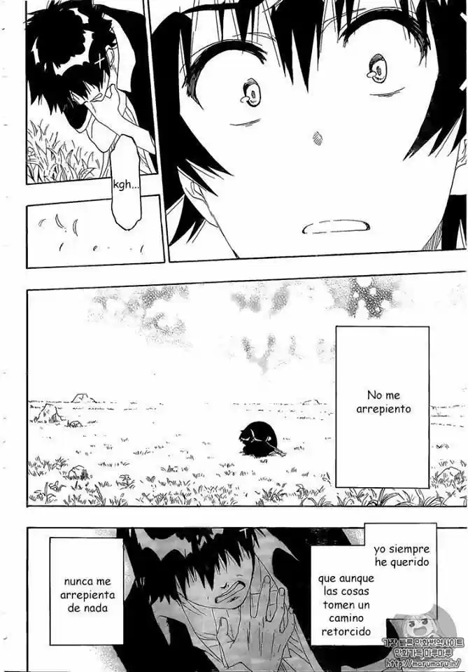 Nisekoi (2011) - Capítulo 226 - Página 15 - LectorTMOo