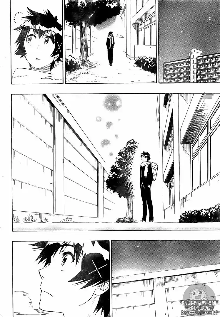 Nisekoi (2011) - Capítulo 228 - Página 17 - LectorTMOo