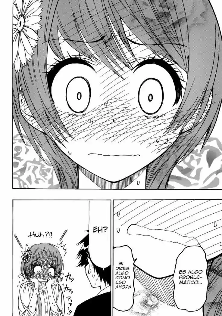 Nisekoi (2011) - Capítulo 37 - Página 19 - LectorTMOo