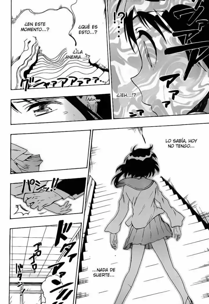 Nisekoi (2011) - Capítulo 53 - Página 16 - LectorTMOo