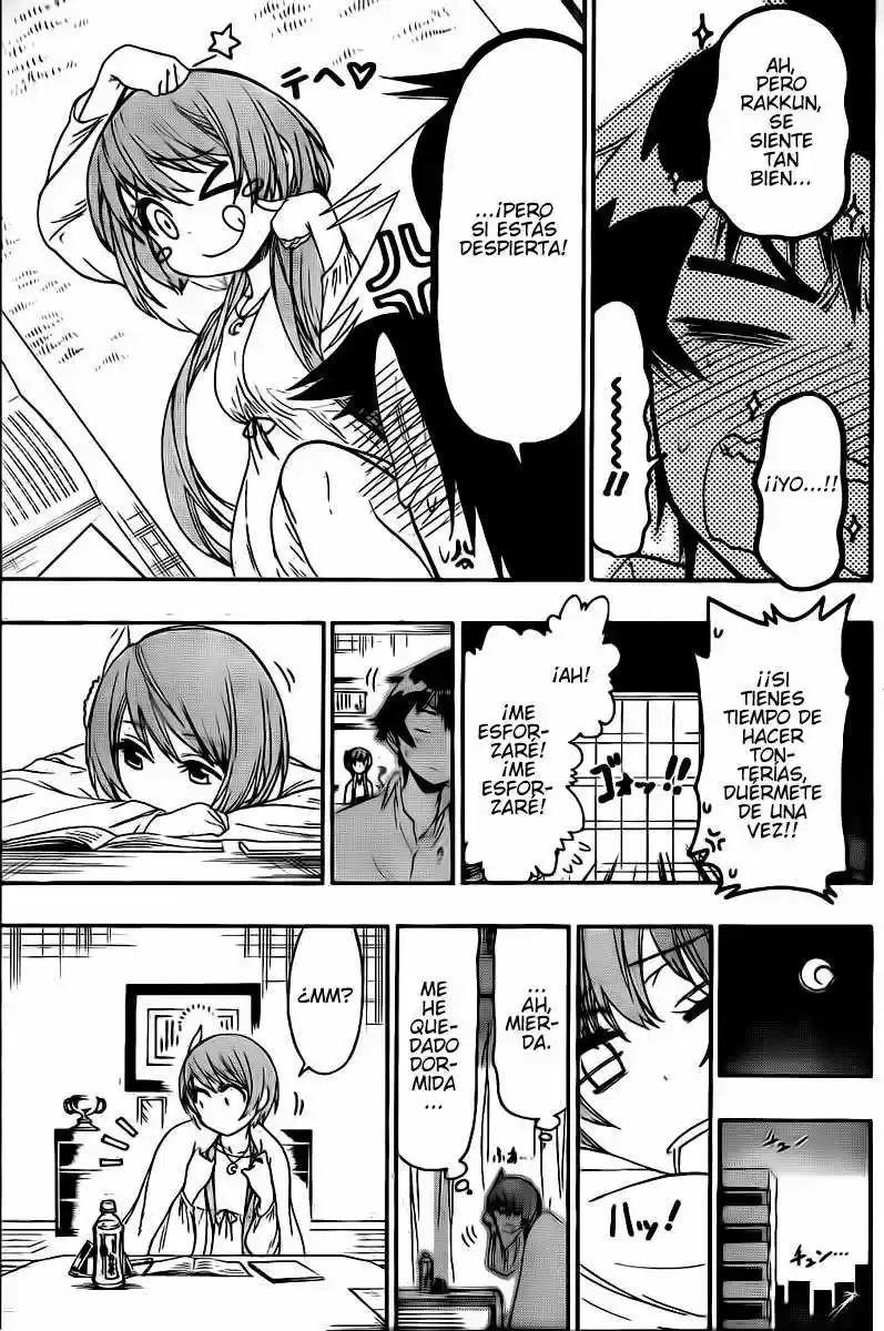 Nisekoi (2011) - Capítulo 56 - Página 15 - LectorTMOo