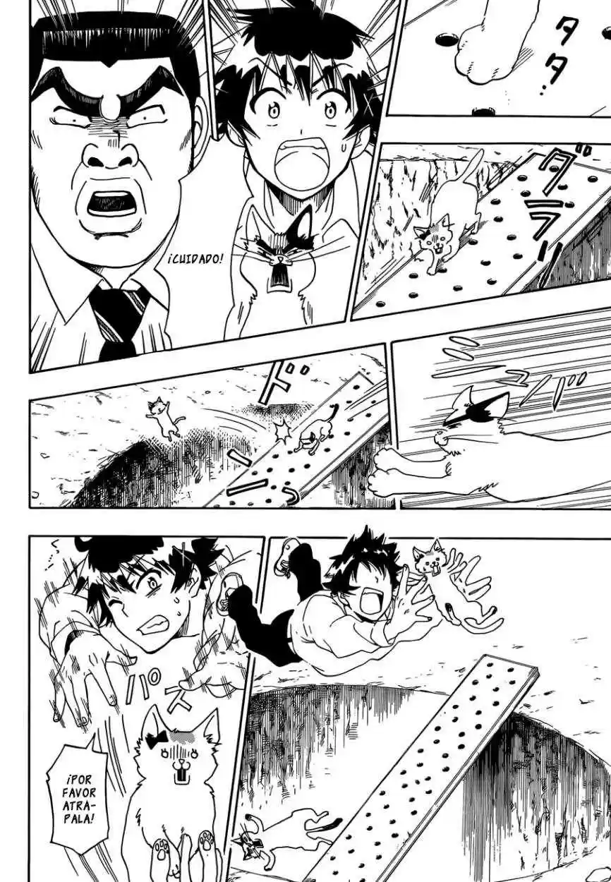 Nisekoi (2011) - Capítulo 88.05 - Página 5 - LectorTMOo
