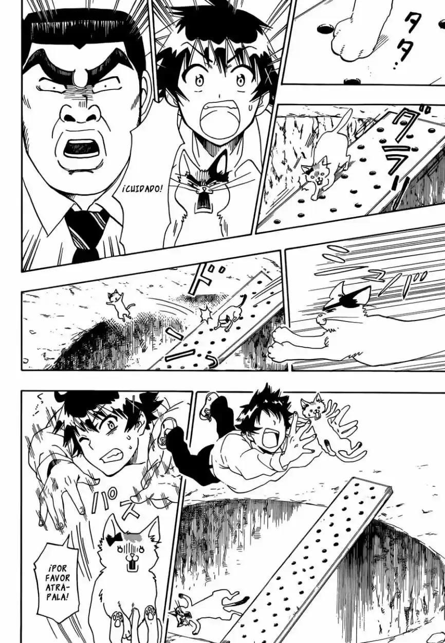 Nisekoi (2011) - Capítulo 88.5 - Página 5 - LectorTMOo