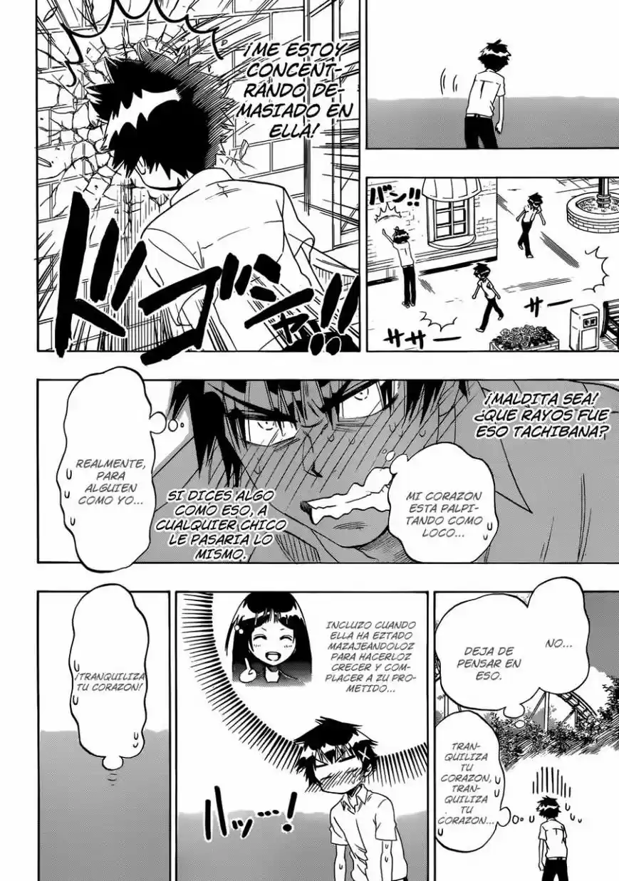 Nisekoi (2011) - Capítulo 96 - Página 17 - LectorTMOo