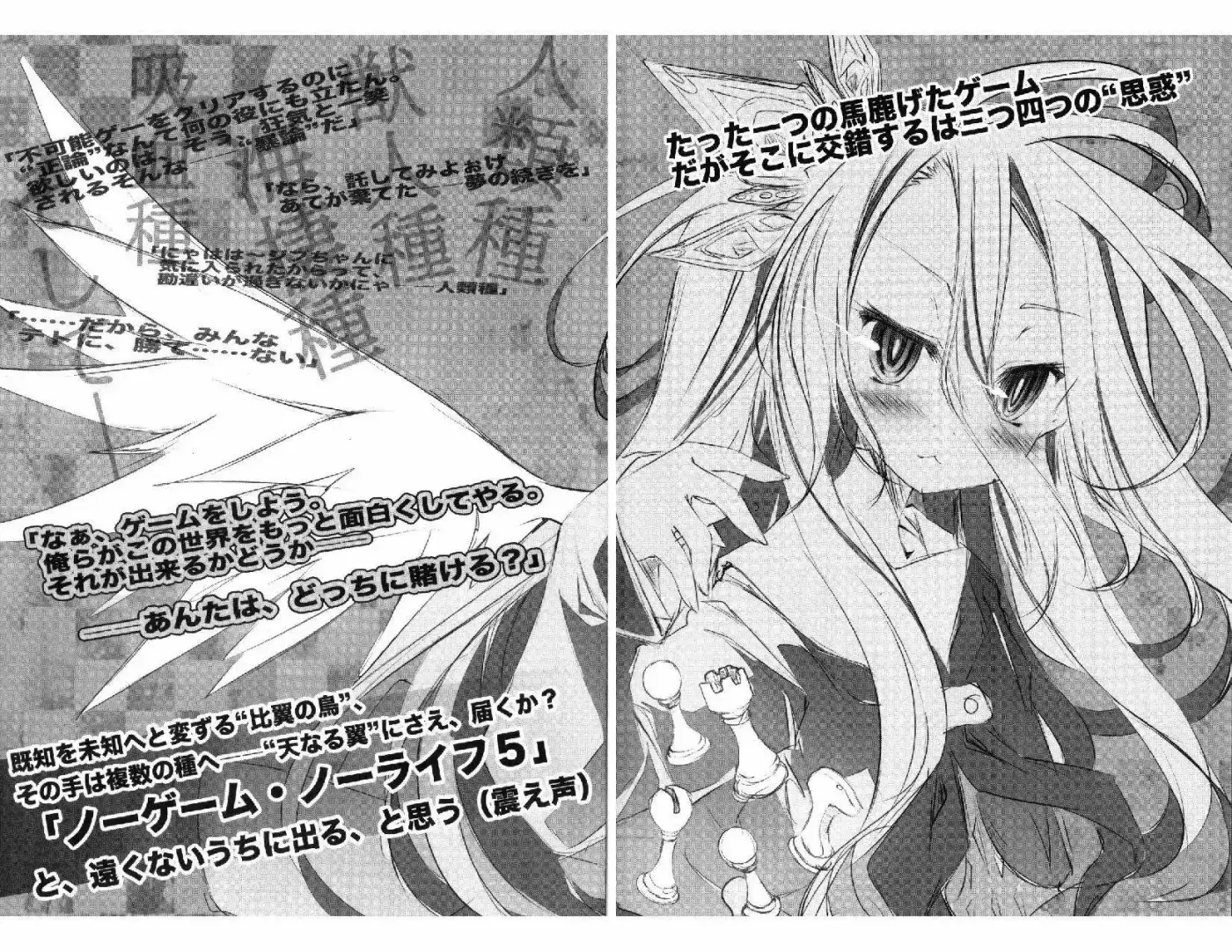 No Game No Life (Novela) (2012) - Capítulo 23 - Página 8 - LectorTMOo