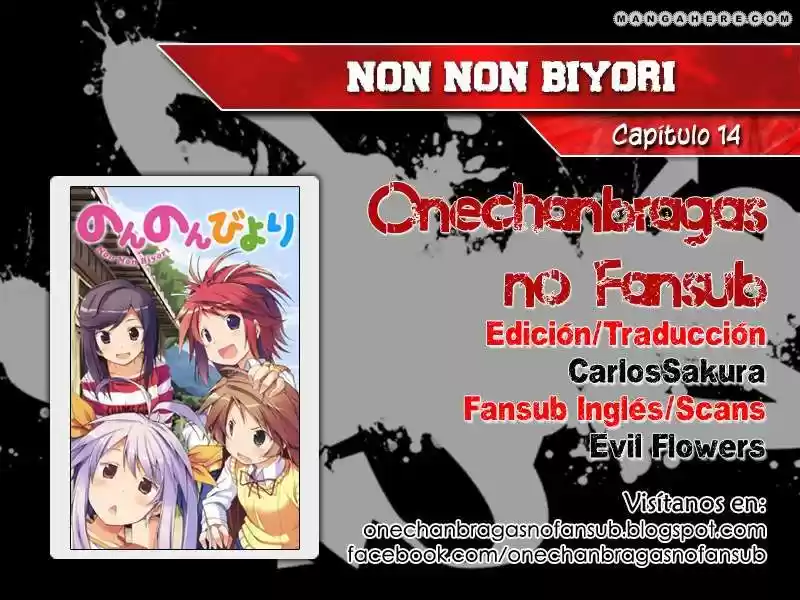 Non Non Biyori (2009) - Capítulo 14 - Página 19 - LectorTMOo