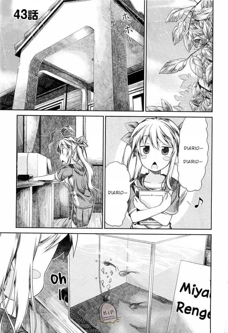 Non Non Biyori (2009) - Capítulo 43 - Página 1 - LectorTMOo