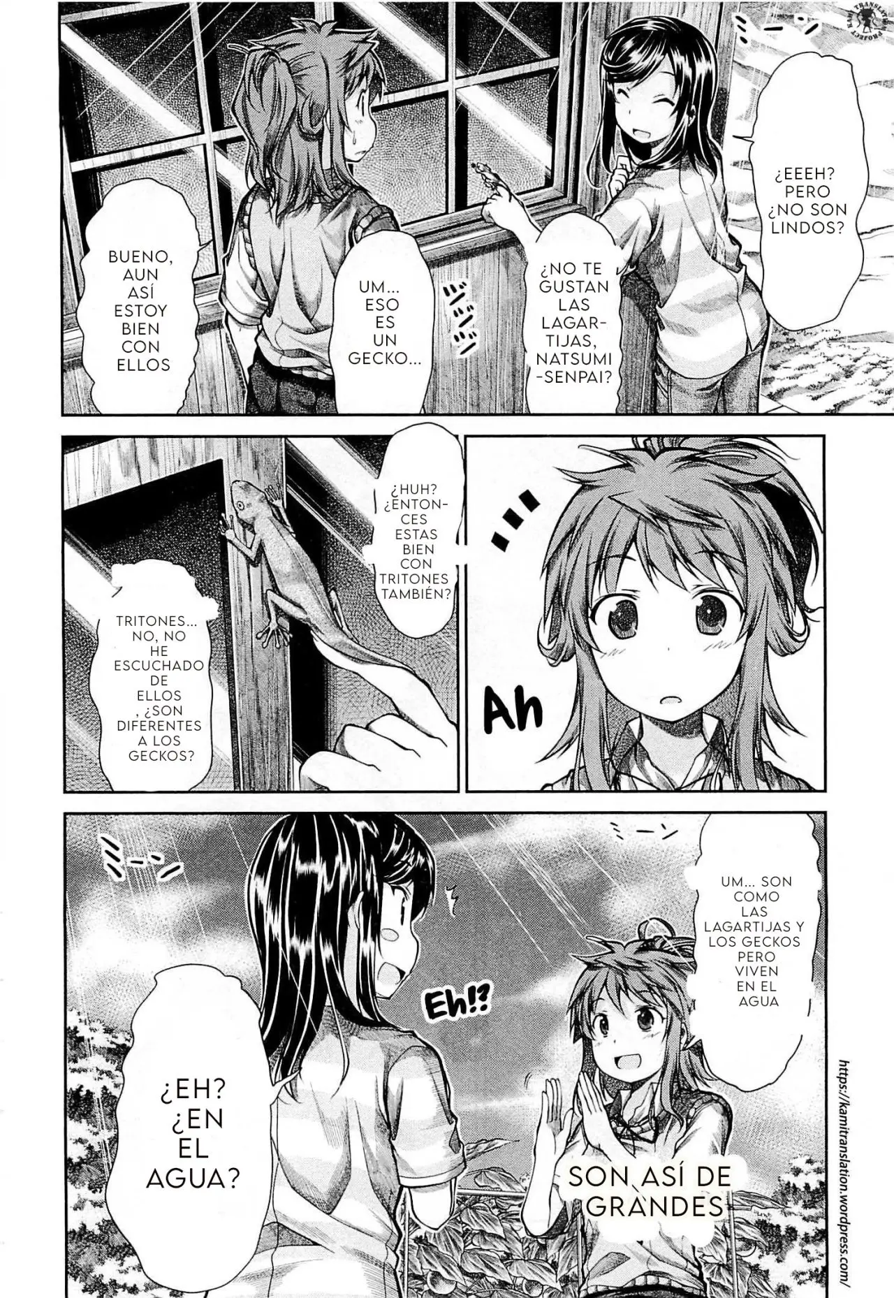 Non Non Biyori (2009) - Capítulo 44 - Página 14 - LectorTMOo