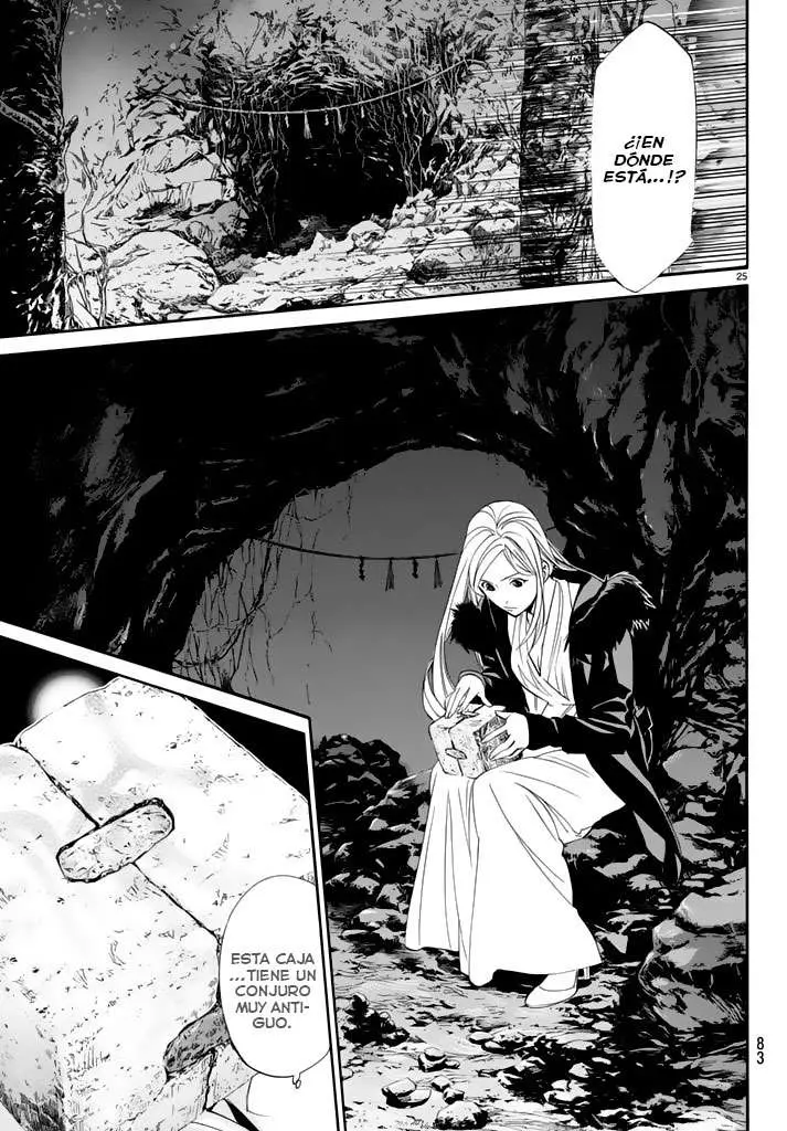 Noragami: Stray God (2010) - Capítulo 59 - Página 27 - LectorTMOo