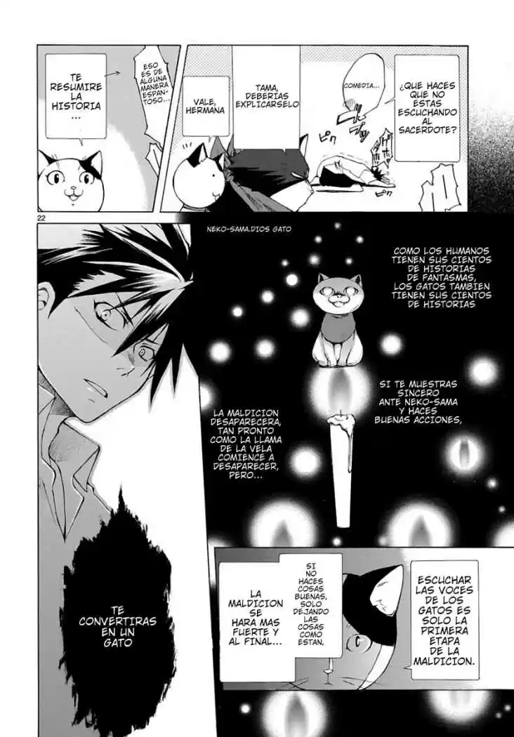 Nyan koi (2007) - Capítulo 1 - Página 22 - LectorTMOo