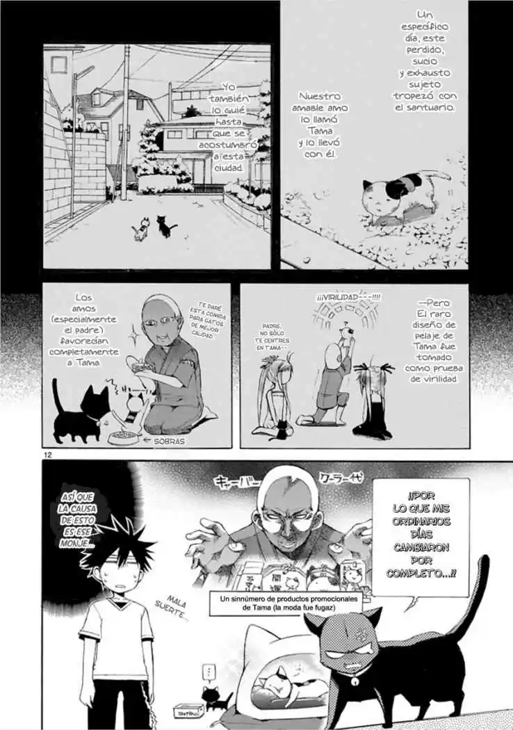 Nyan koi (2007) - Capítulo 13 - Página 13 - LectorTMOo